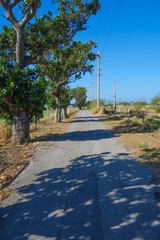 沖縄県　黒島の一本道