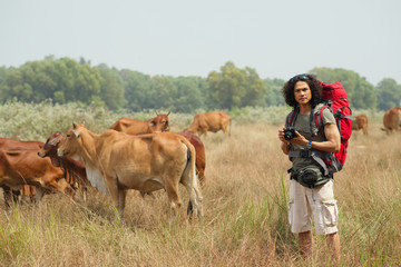 On the field with cows