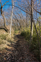 平山城祉公園