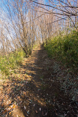 平山城祉公園