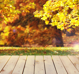 Naklejka na ściany i meble Wooden board on autumn park background