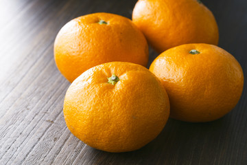 みかんの集合　Mandarin orange　Mikan　