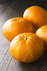 みかんの集合　Mandarin orange　Mikan　