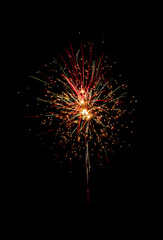 Fototapeta premium Beautiful firework