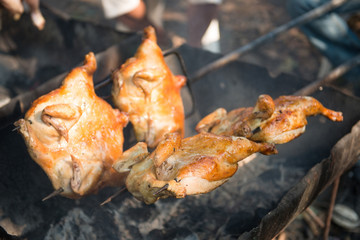 Grilled chicken skewers over stove