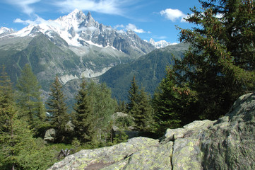 Fototapeta na wymiar Rock, trees and peaks nearby Chamonix in Alps in France