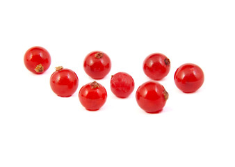 Fresh red currants on white background.