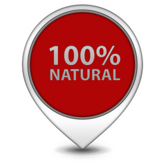 100% natural pointer icon on white background
