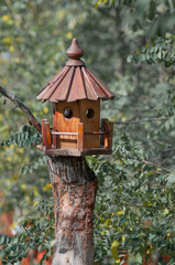 bird house on a green background