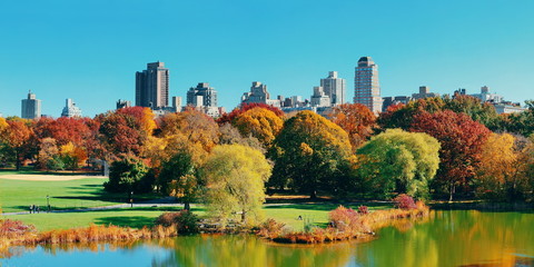 Central Park Autumn