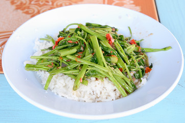 Stir Fried Swamp Cabbage over rice