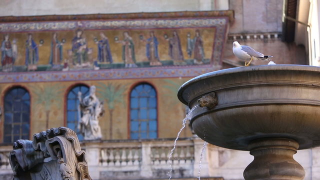 fountain with seagull - typical square in rome