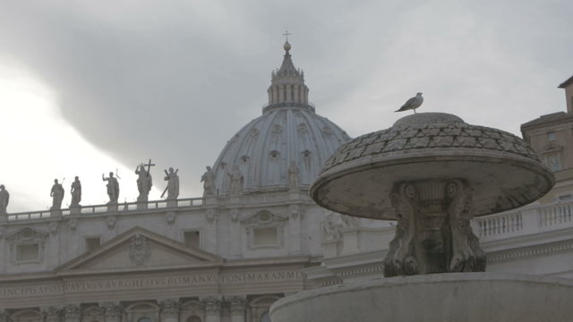 Jonathan Livingston Seagull on a visit to the Basilica of St. Peter