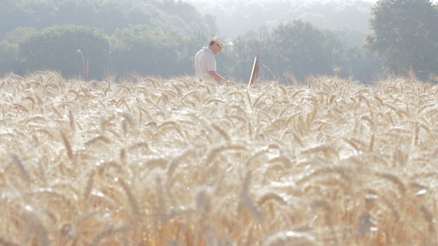 artist paints a wheat field - Cornfield - painter