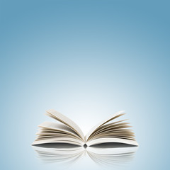 single book