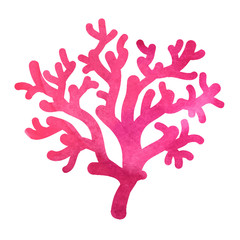 hand drawn decorative watercolor coral © ty4ina