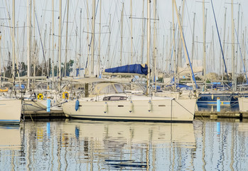 Private yachts in the marina