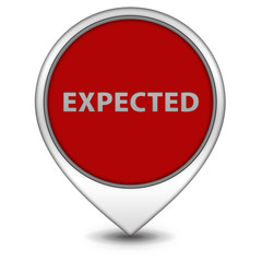 Expected pointer icon on white background