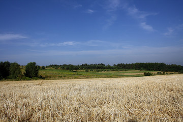 Field