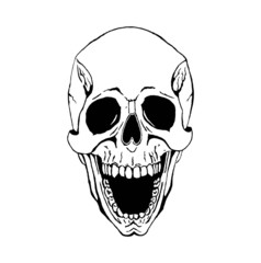 Vector skull