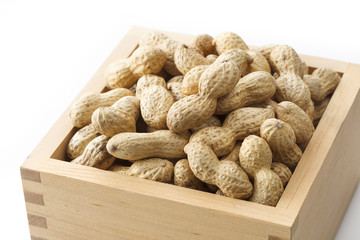 落花生　節分　peanut