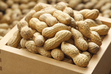 落花生　節分　peanut