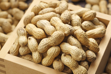 落花生　節分　peanut