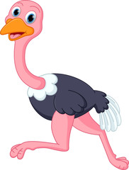 Cute ostrich cartoon running