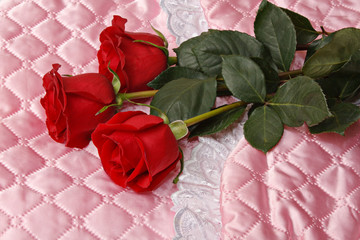 Red roses on pink satin.