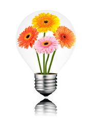 Light Bulb with Flowers Growing  Inside Isolated