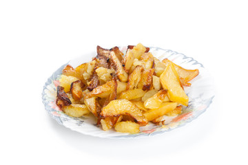Homemade fried potato on plate isolated on white