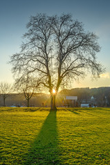 Obraz premium Landscape