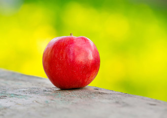 Fresh red apple on green background with bokeh