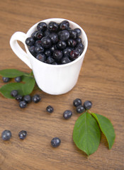 blueberries with leaf in bowl, cup on wooden background