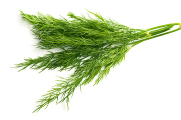 fresh dill beam