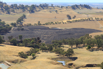 Bushfire Aftermath