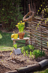 flowers planting in spring garden