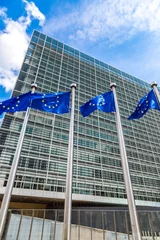 Foto op Aluminium European flags  in Brussels © Sergii Figurnyi