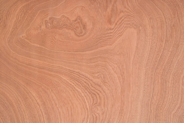 Wooden texture for background