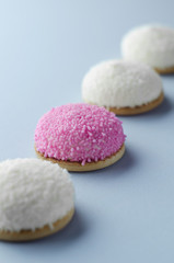 Obraz na płótnie Canvas Marshamallow biscuits