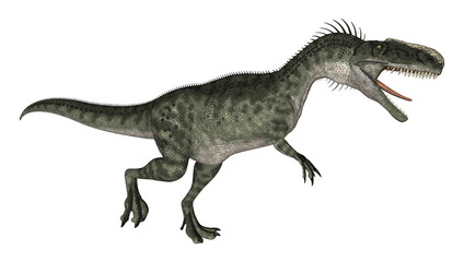 Dinosaur Monolophosaurus