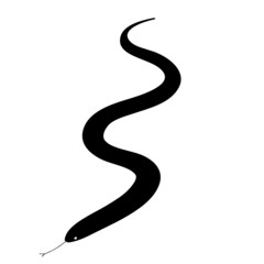 snake vector