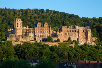 Fototapeta na wymiar Schloss Heidelberg im Grünen