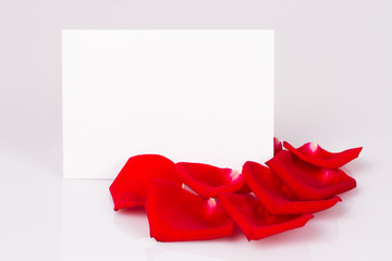 Fototapeta premium Red rose petals and white sheet of paper