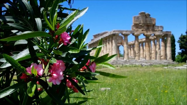 Paestum vid 01.