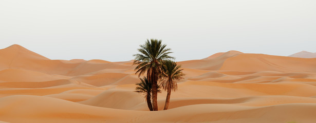 Morocco. Sand dunes of Sahara desert - obrazy, fototapety, plakaty