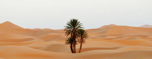 Keuken spatwand met foto Marokko. Zandduinen van de Saharawoestijn © Alexmar