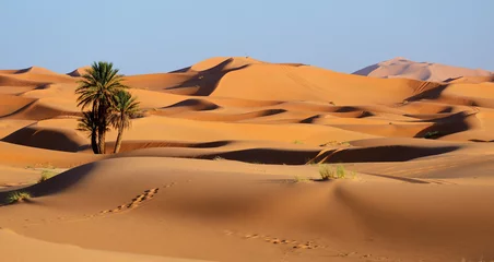 Tuinposter Marokko. Zandduinen van de Saharawoestijn © Alexmar