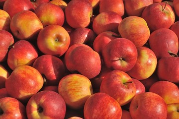 Apples