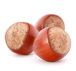 hazelnut or filbert nut isolated on white background cutout